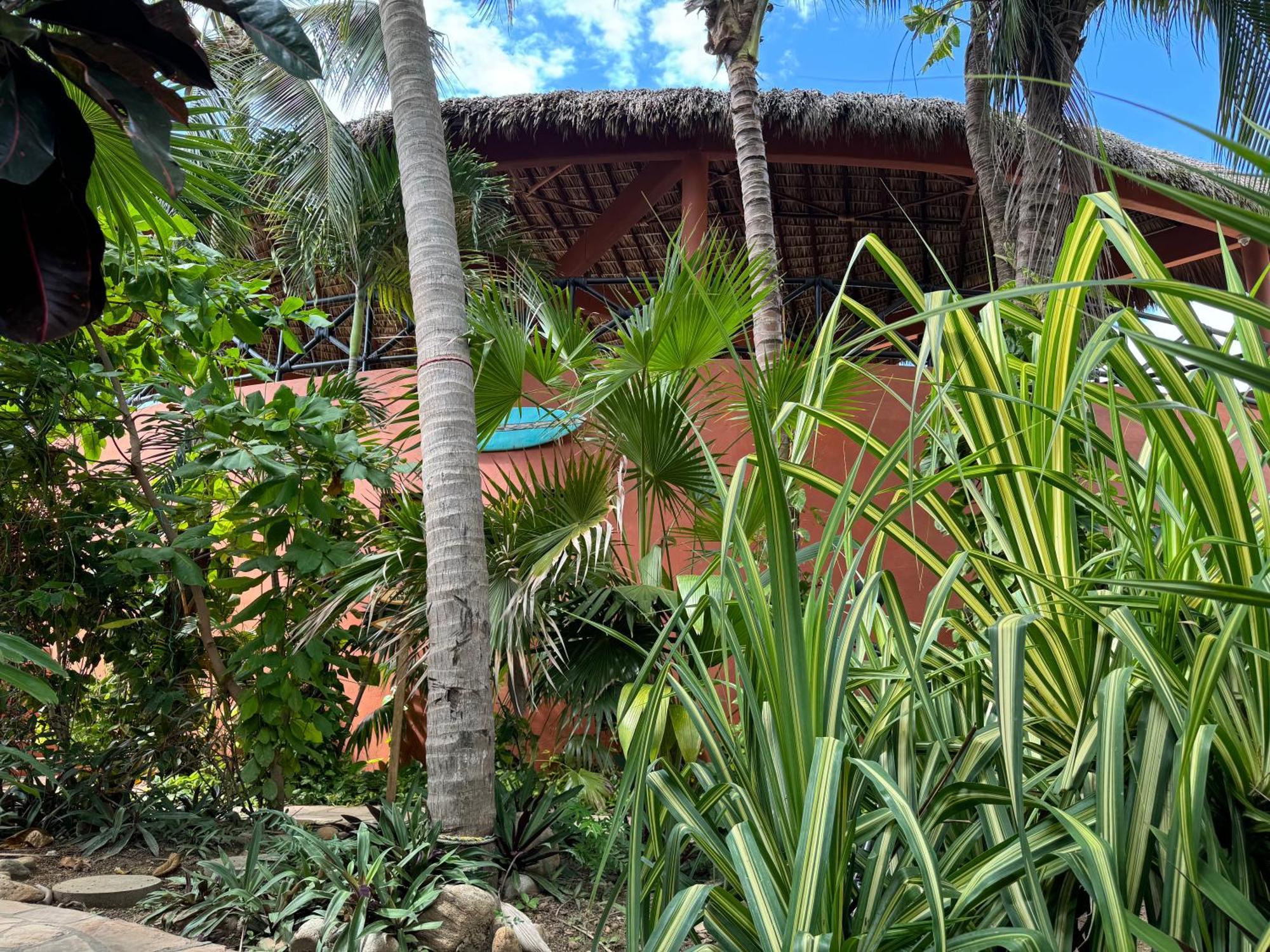 One Love Hostal Puerto Escondido Puerto Escondido  Luaran gambar
