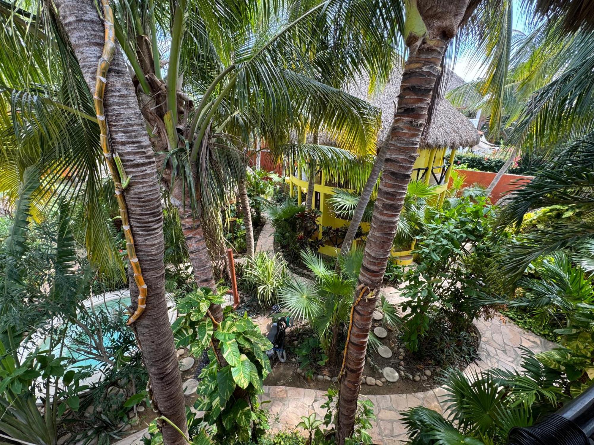 One Love Hostal Puerto Escondido Puerto Escondido  Luaran gambar