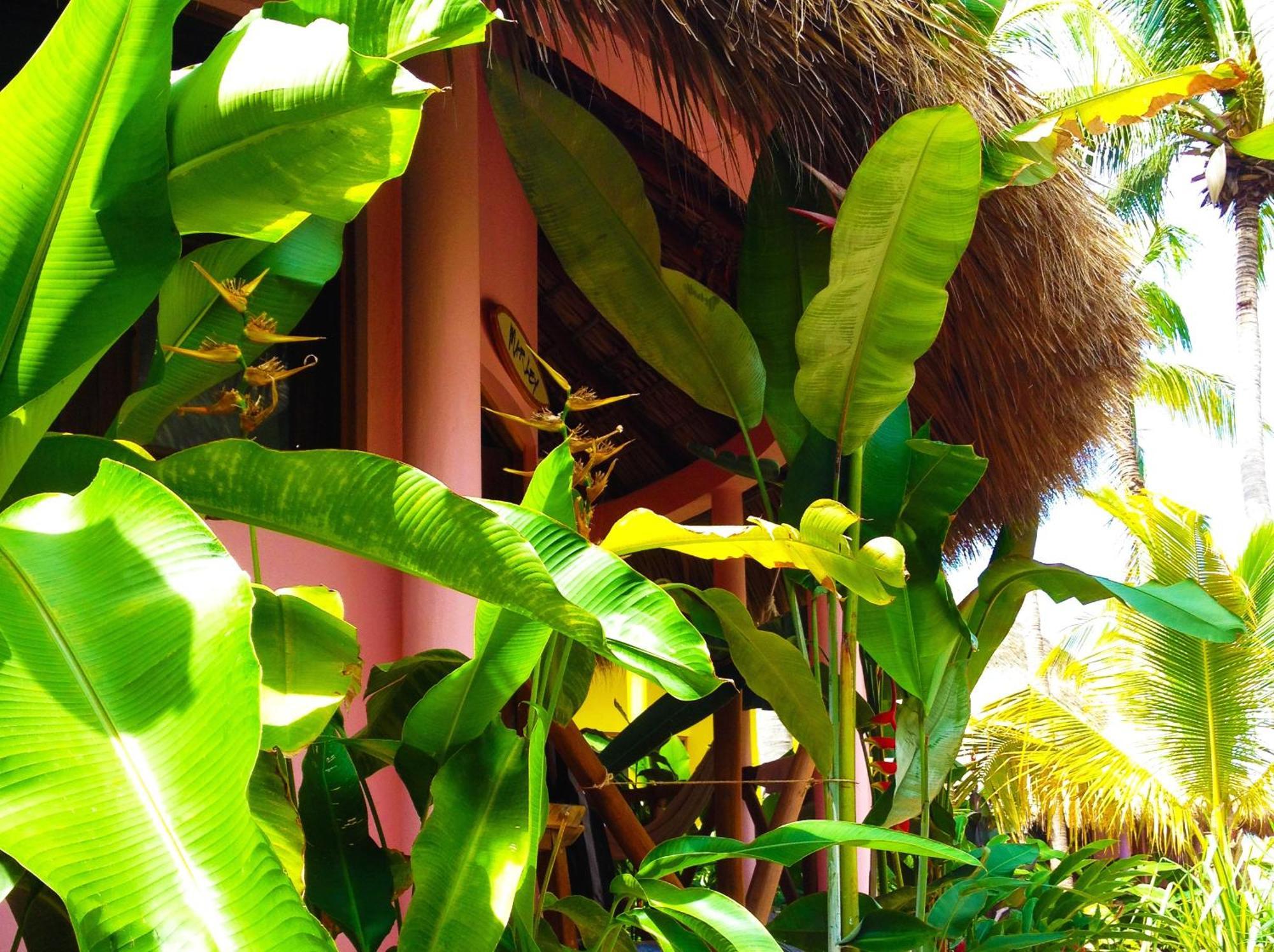 One Love Hostal Puerto Escondido Puerto Escondido  Luaran gambar